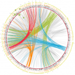 Circos genomic genome human data visualization genomics two circular map mapping representation big circle genes analysis similarity large illustration synteny